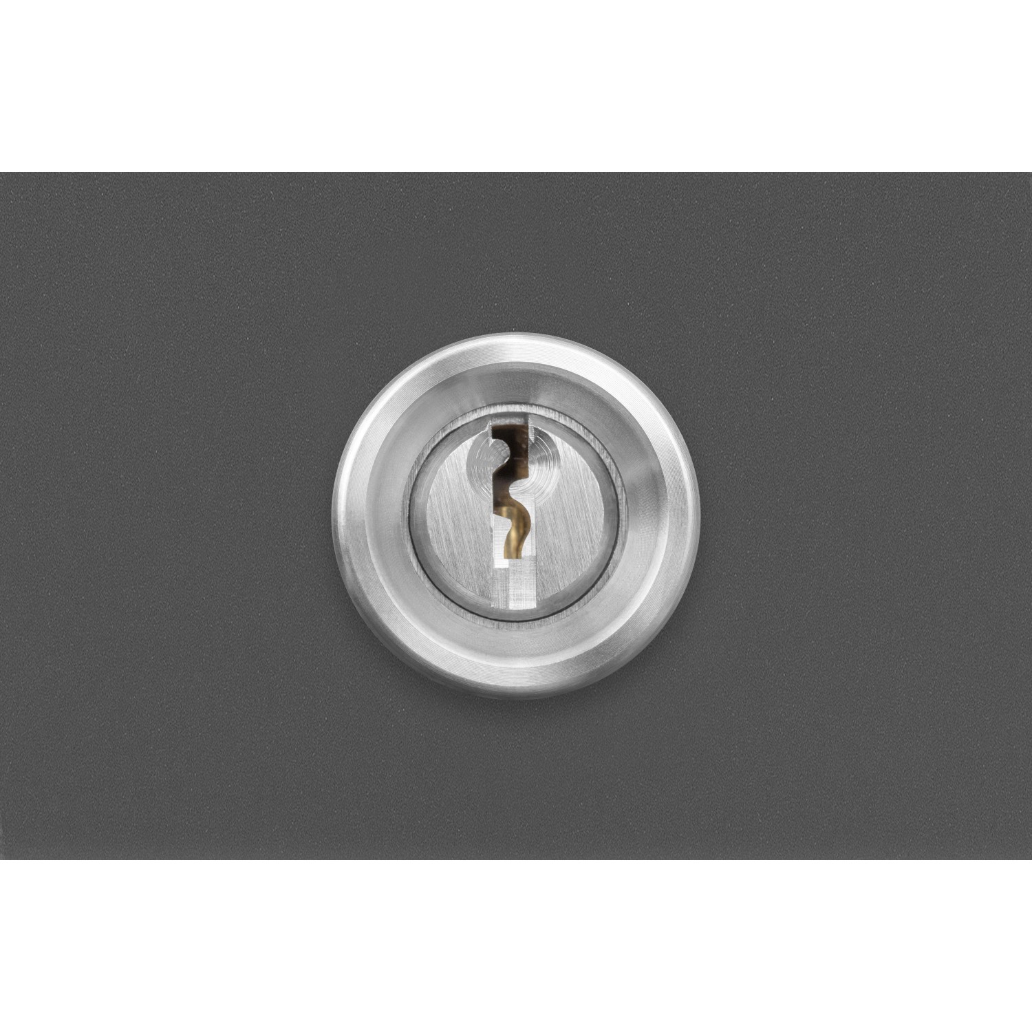 Detailaufnahme: Schließzylinder der anthrazitfarbenen Aluminium Haustür Moderno M490/P.