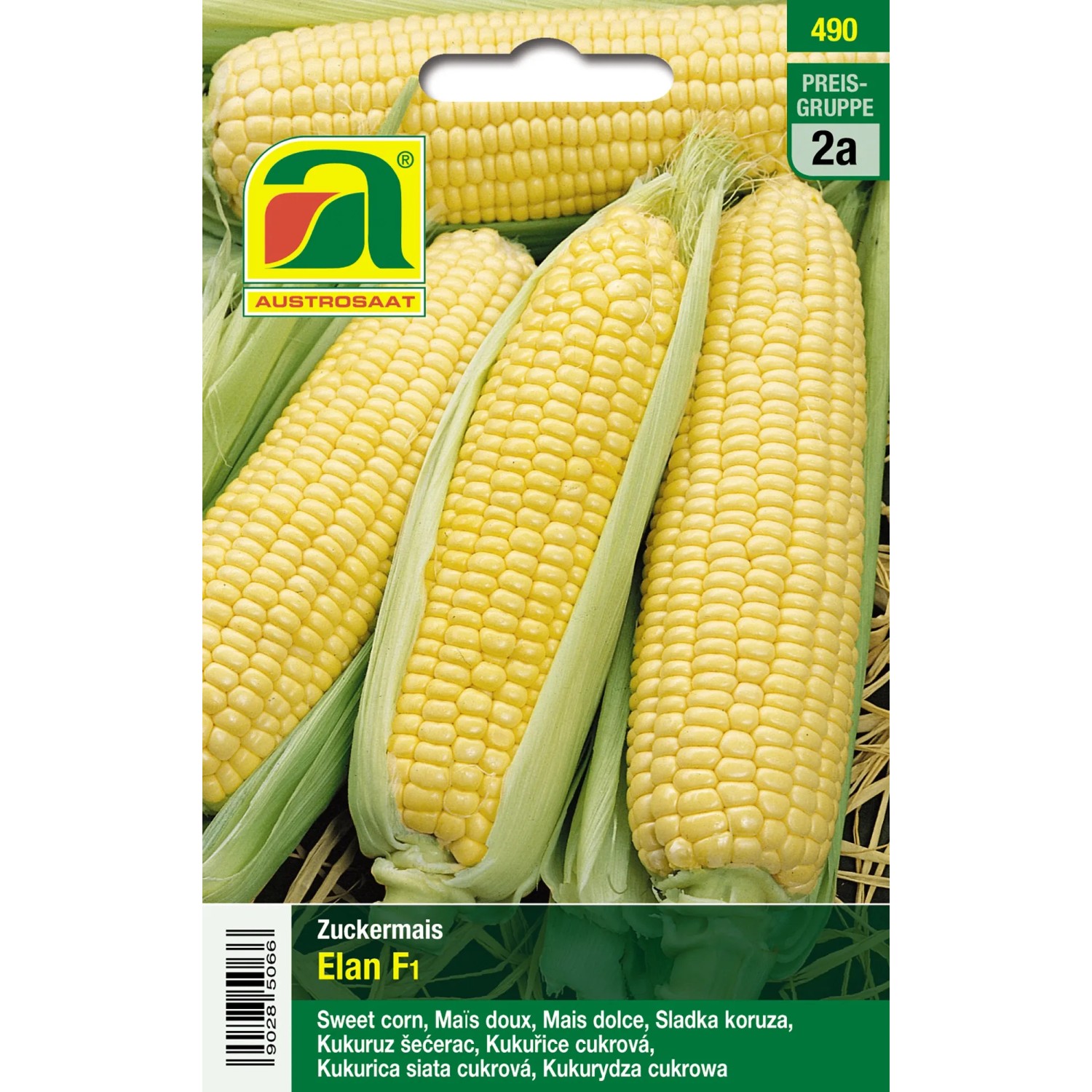 Austrosaat Saatgut Zuckermais "Elan F1" Zea mays L. kaufen bei OBI