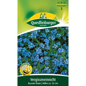 Samenpackung Quedlinburger Vergissmeinnicht 'Blauer Korb' mit blauen Blüten, Höhe ca. 25cm.