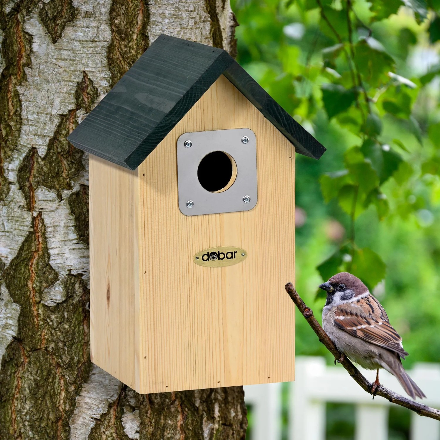 Dobar Nistkasten Vobu aus hellem Kiefernholz mit grünem Dach und Spechtschutz am Baum. Ein Spatz sitzt auf einem Ast.