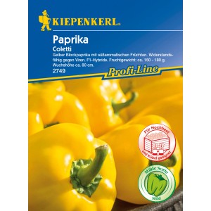 Kiepenkerl Profi-Line Paprika Coletti: Gelbe Blockpaprika Samen für den Garten.