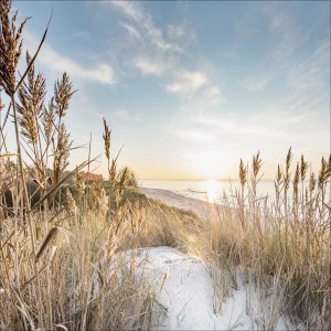 Pro Art Glasbild Wilder Strand III 50 cm x 50 cm