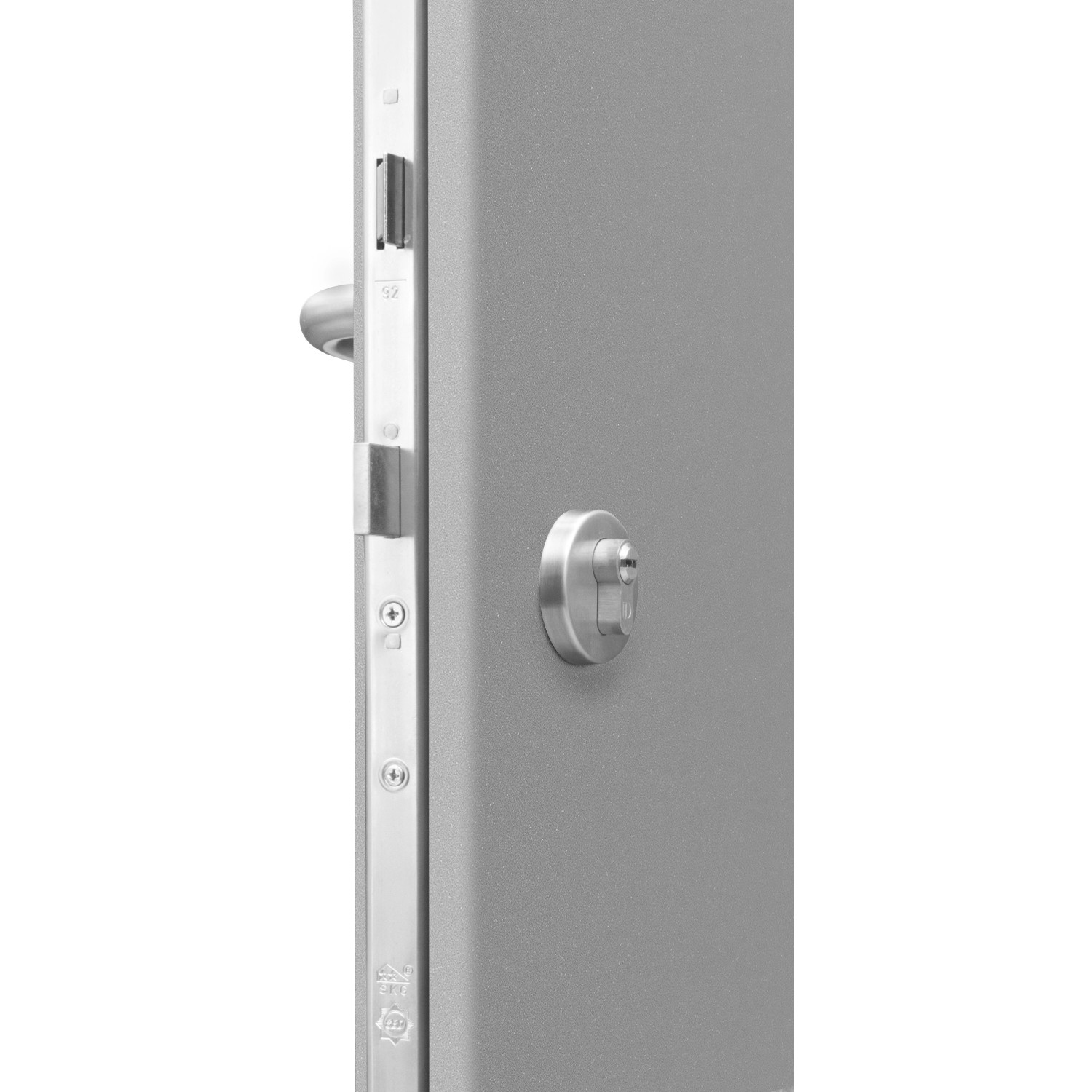 Detailansicht der grauen Haustür ThermoSpace Prime Palermo mit Mehrfachverriegelung.