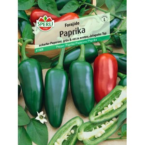 Sperli Paprika Forajido: Grüne und rote Jalapeño-Paprika, scharf und widerstandsfähig.