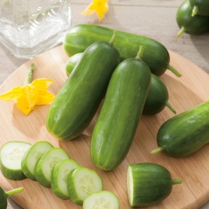 Frische Blu Gurke Mini-Snack auf Holzbrett, geschnitten und ganz. Ideal zum Naschen.