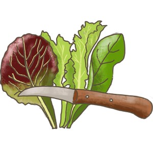 Illustration von Blu Bio-Schnittsalat mit Erntemesser, Blattgemüse für Salat und Sandwiches.