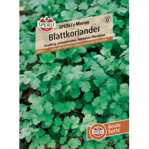 Samenpackung Sperli Blattkoriander Marino, einjähriges Würzkraut für Garten und Küche.
