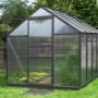 Schwarzes Vitavia Gewächshaus Venus 6200 HKP mit Hohlkammerplatten im Garten.