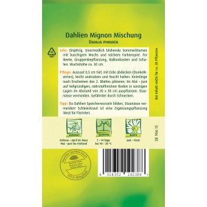 Samentüte Quedlinburger Dahlie Mignon Mischung, einjährige Sommerblumen für Beet und Balkon.