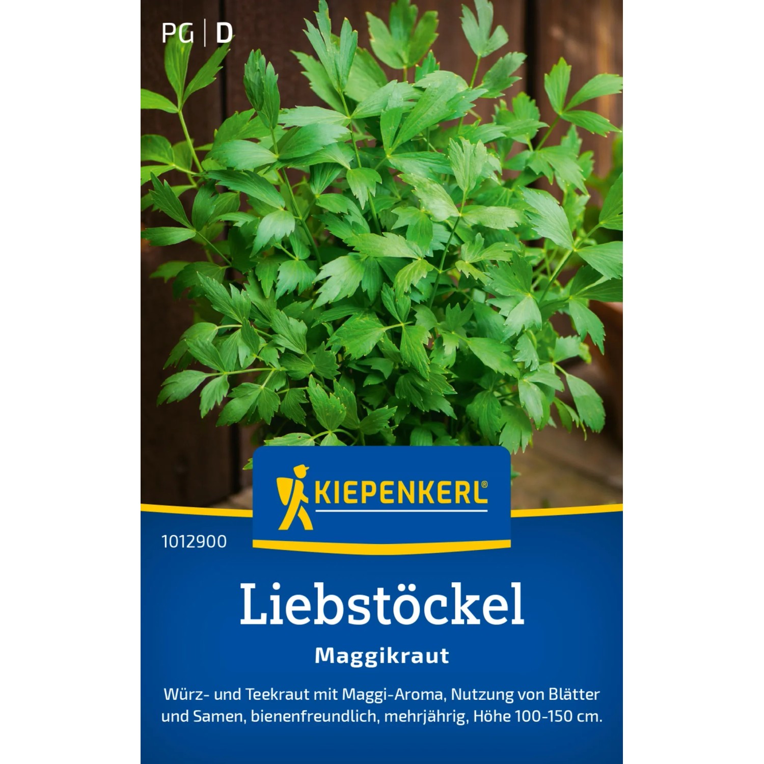 Kiepenkerl Maggikraut "Liebstckel" kaufen bei OBI