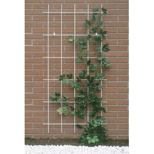 Weißes Metallspalier (150x45cm) an einer Wand mit Kletterpflanze. Rankhilfe für Garten und Fassade.