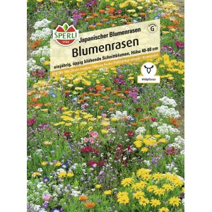 Sperli Blumenrasen Japanischer Blumenrasen mit bunten Sommerblumen.