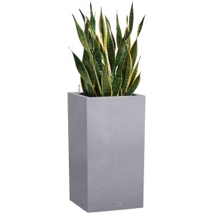 Lechuza Canto Stone Pflanzsäule, 30x56 cm, steingrau, mit Pflanzeinsatz und Bewässerungssystem.