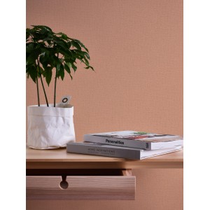 A.S. Création Vliestapete Uni Orange an Wand mit Pflanze und Büchern.