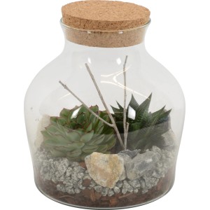 Sukkulenten-Arrangement in Glasflasche mit Korkdeckel, ca. 19 cm Topf-Länge. Dekorative Zimmerpflanze.