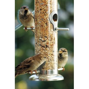 Dobar Acrylglas-Futtersäule mit Spatzen. Vogelfutterspender aus Metall, gefüllt mit Körnern.