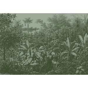 Grüne Vlies Fototapete Rainforest von LOOKS by Wolfgang Joop mit Dschungel Motiv.
