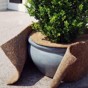 Videx Garden Winterschutz Kokosmatte um einen Topf mit Pflanze, schützt vor Frost.