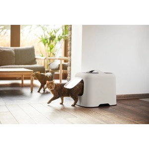 Cappuccino-farbene Rotho Katzentoilette Biala mit Katze beim Verlassen.