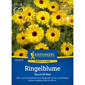Kiepenkerl Ringelblume 'Touch of Red Mix' mit gelben Blüten und dunkler Mitte, geeignet als Schnittblume.
