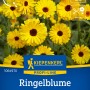 Kiepenkerl Ringelblume 'Touch of Red Mix' mit gelben Blüten und dunkler Mitte, geeignet als Schnittblume.