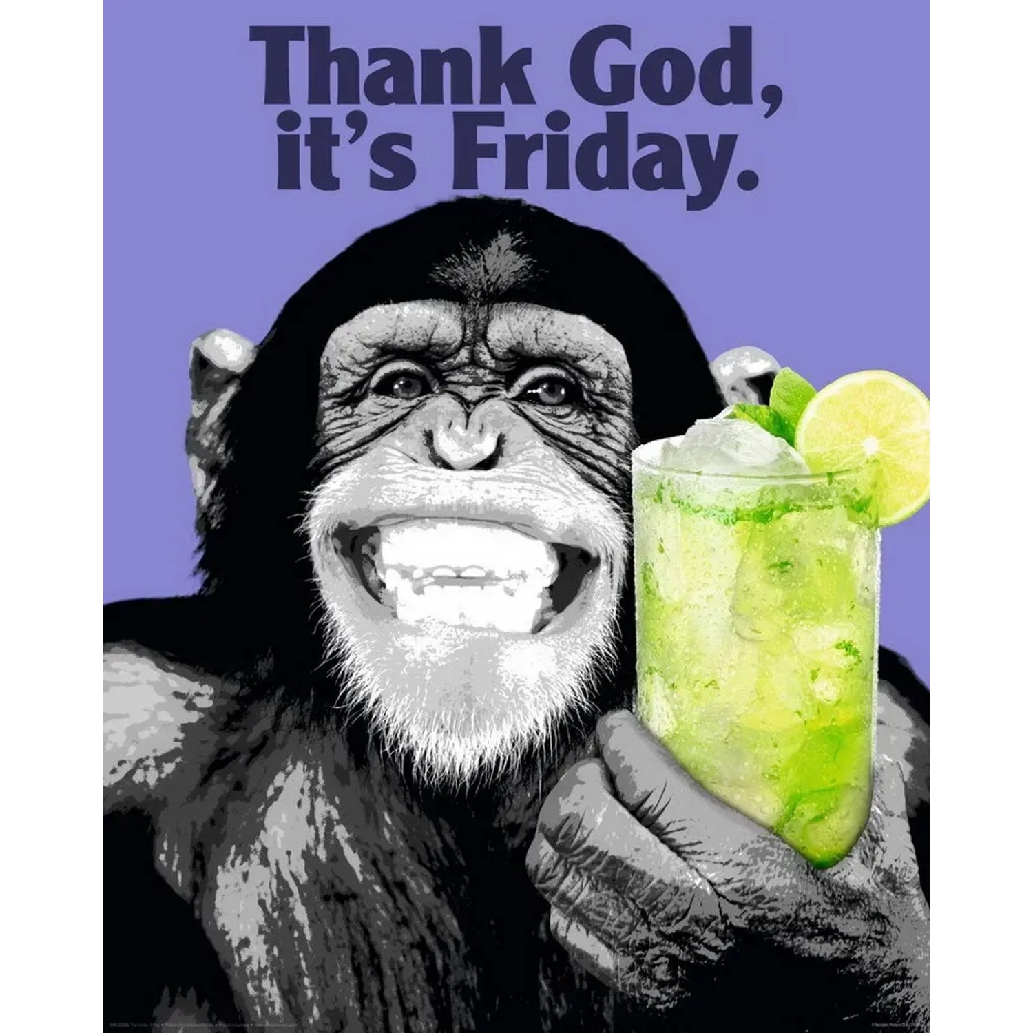 Fertigbild Deco Panel mit Affe und Cocktail, Aufschrift "Thank God, it's Friday."