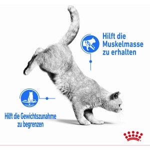 Katze in Sprungposition, Royal Canin Light Weight Care Katzen-Trockenfutter zur Gewichtskontrolle.