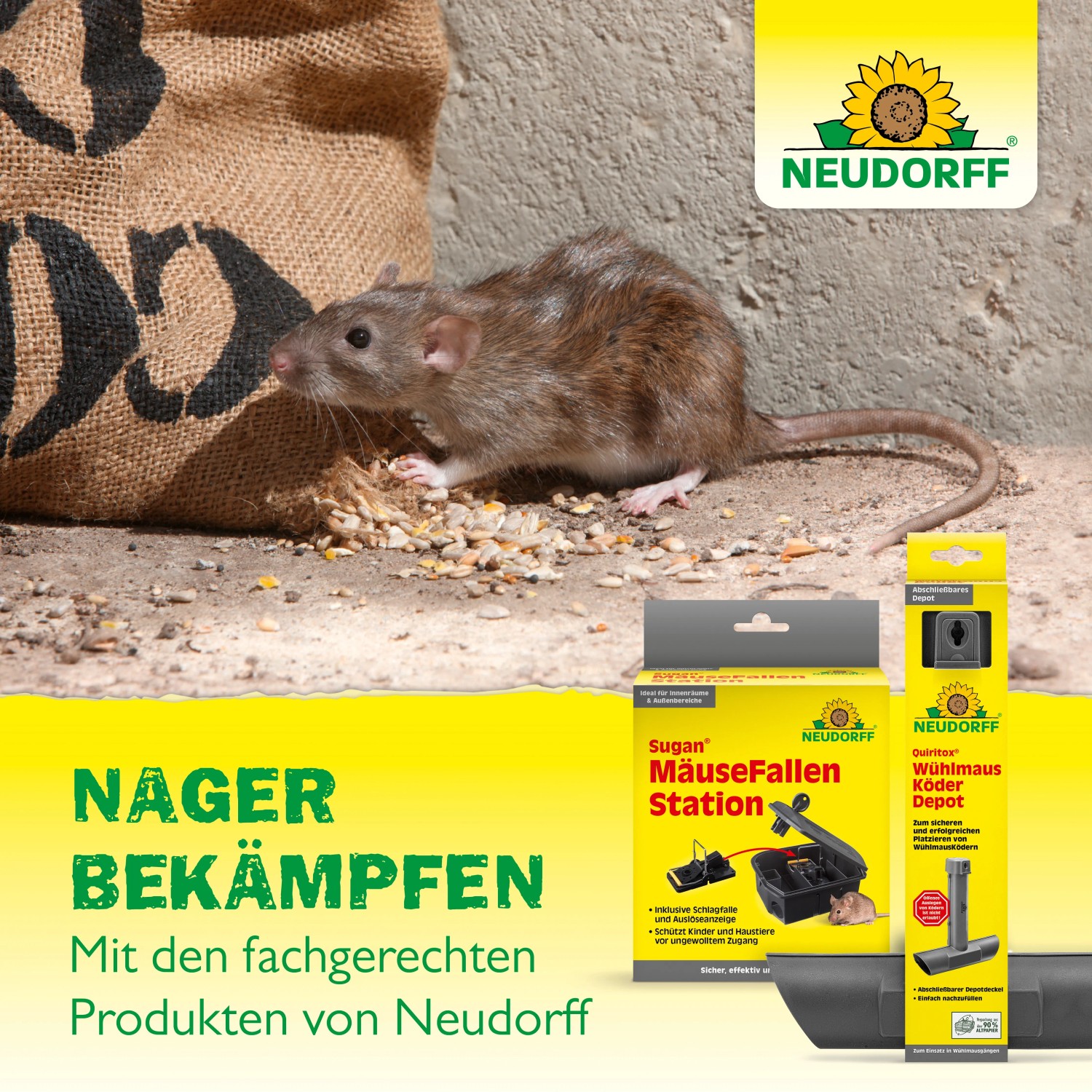 Neudorff Rattenköder Sugan Depot mit Ratte und Köderbox im Hintergrund.
