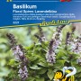 Kiepenkerl Blütenbasilikum Floral Spires Lavendelblau: Lavendelfarbene Blüten, insektenfreundlich, dekorativ und aromatisch.