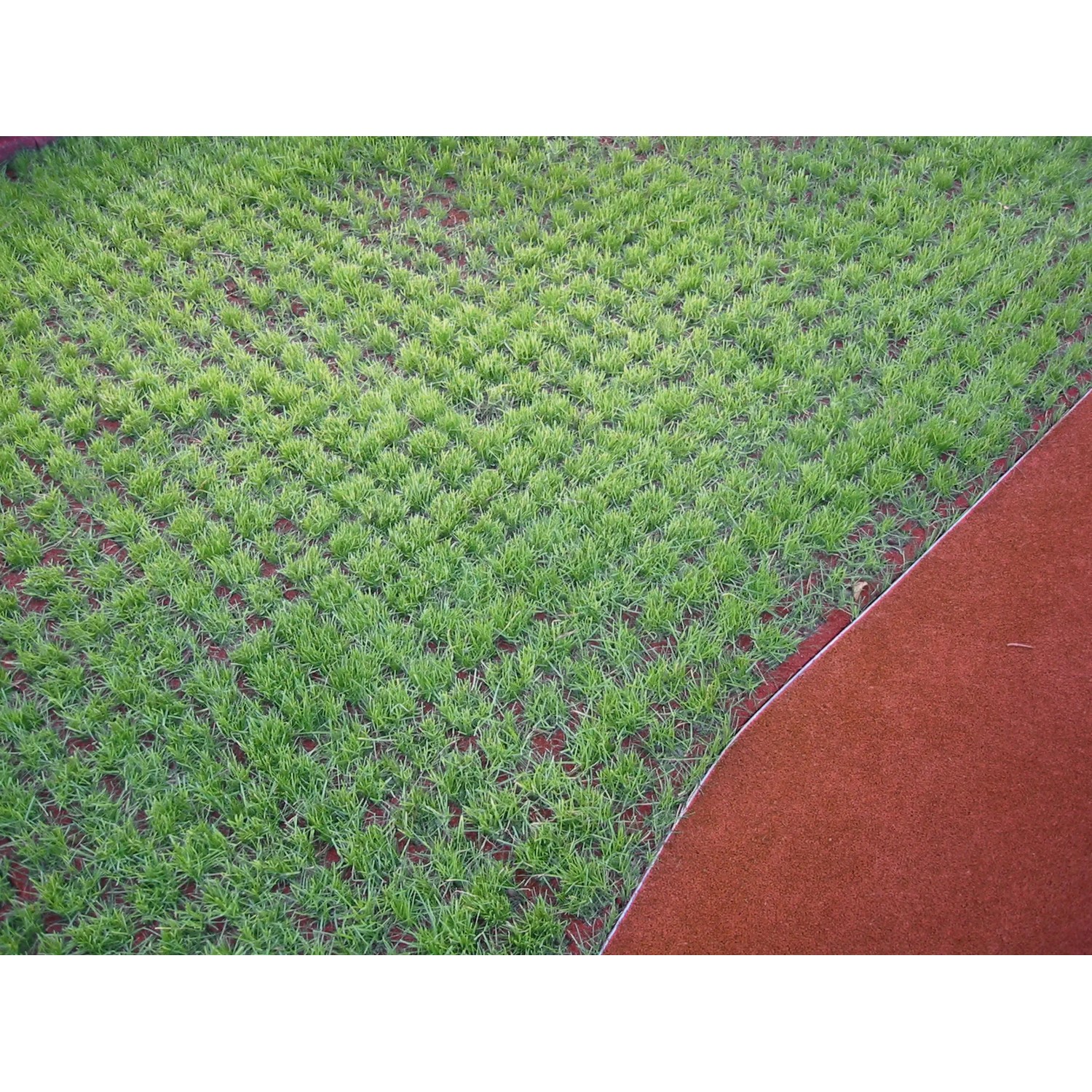 Rote Rasengitter-Fallschutzplatte 100x100 cm mit grünen Gras, ideal für Terrassen & Gehwege.