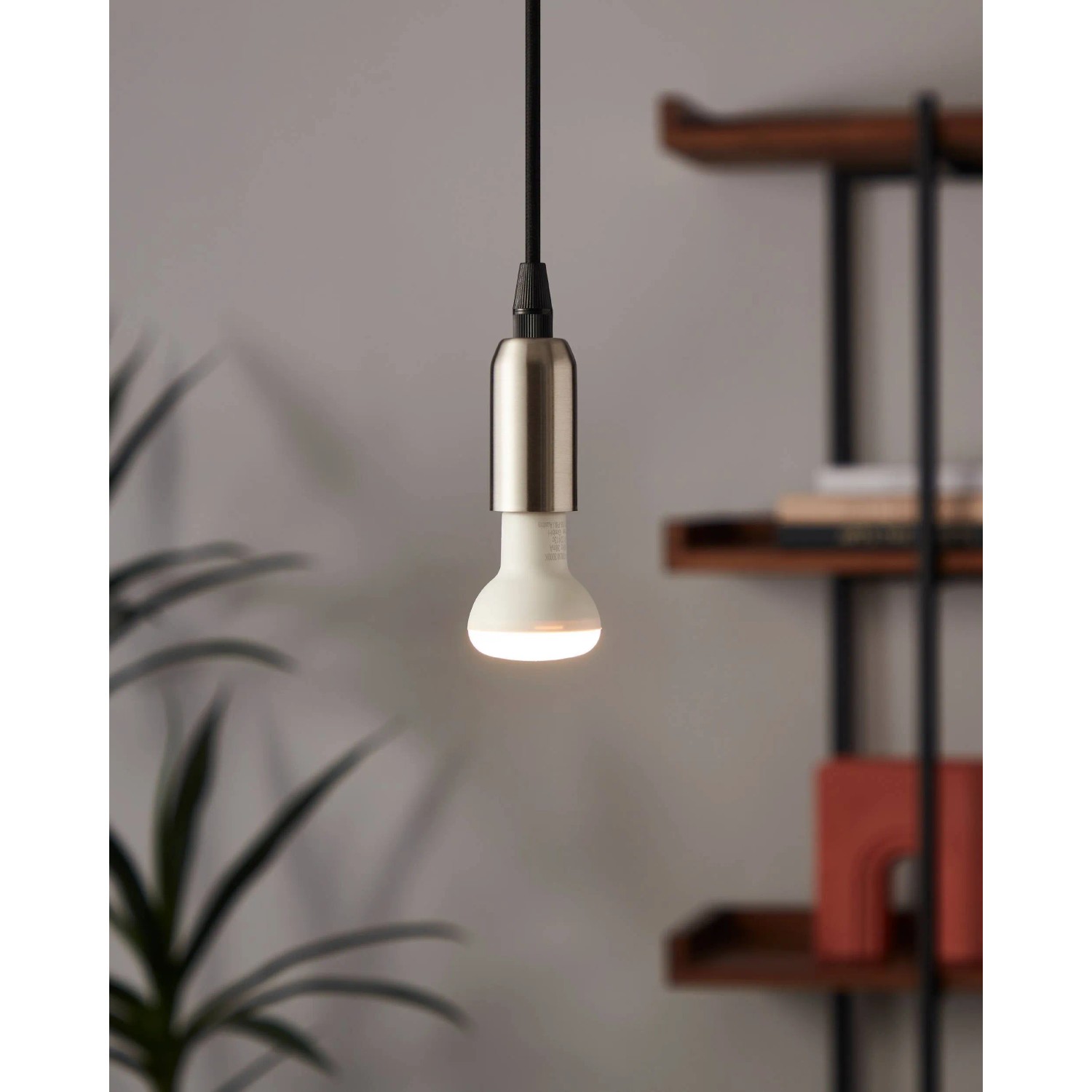 Eglo E14 LED Reflektor R50, 2,9 W, warmweißes Licht. Energiesparendes Leuchtmittel für Wohnräume.