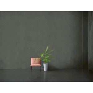 Raum mit Alpina Mineral Beton Anthrazit Effektfarbe, Sessel und Pflanze.