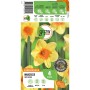 GROW by OBI Narzisse Red Devon, gelbe Blüte mit oranger Mitte, 4 Stück Blumenzwiebeln.