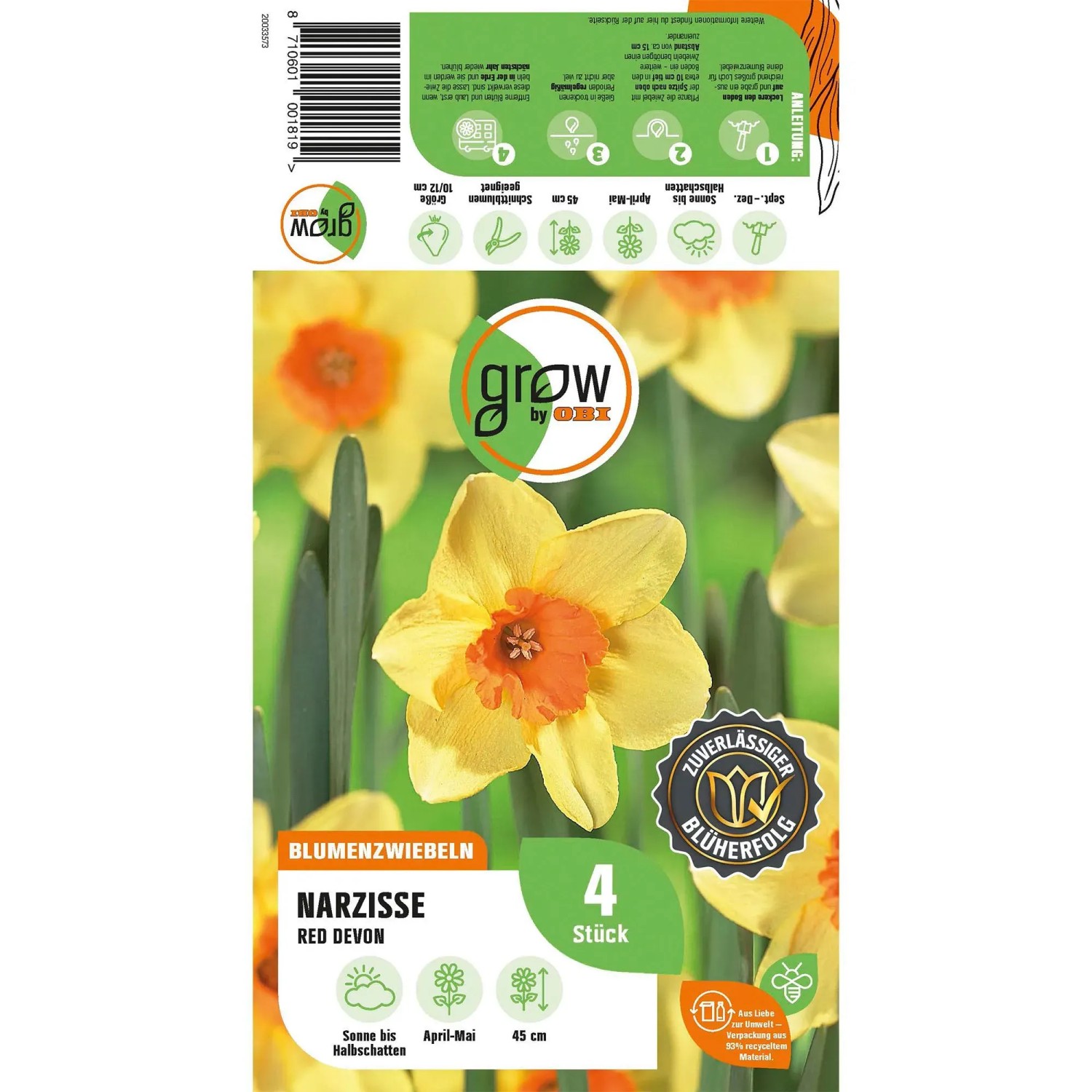 GROW by OBI Narzisse Red Devon, gelbe Blüte mit oranger Mitte, 4 Stück Blumenzwiebeln.