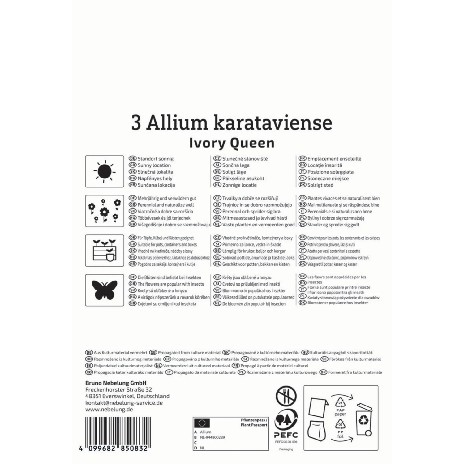 Verpackung Kiepenkerl Blumenzwiebel Zierlauch Ivory Queen, 3 Stück.