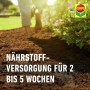 Compo Bio torffreie Pflanzerde. Gärtner bereitet Beet vor, sichert Nährstoffversorgung für 2-5 Wochen für Pflanzen.