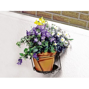 Grüner Mauer-Topfhalter mit bepflanztem Topf (Ø 20cm) an einer weißen Wand.