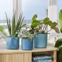 Drei blaue Elho Blumentöpfe Ocean Collection (Ø 16 cm) auf einem Holzschrank vor einem Fenster.