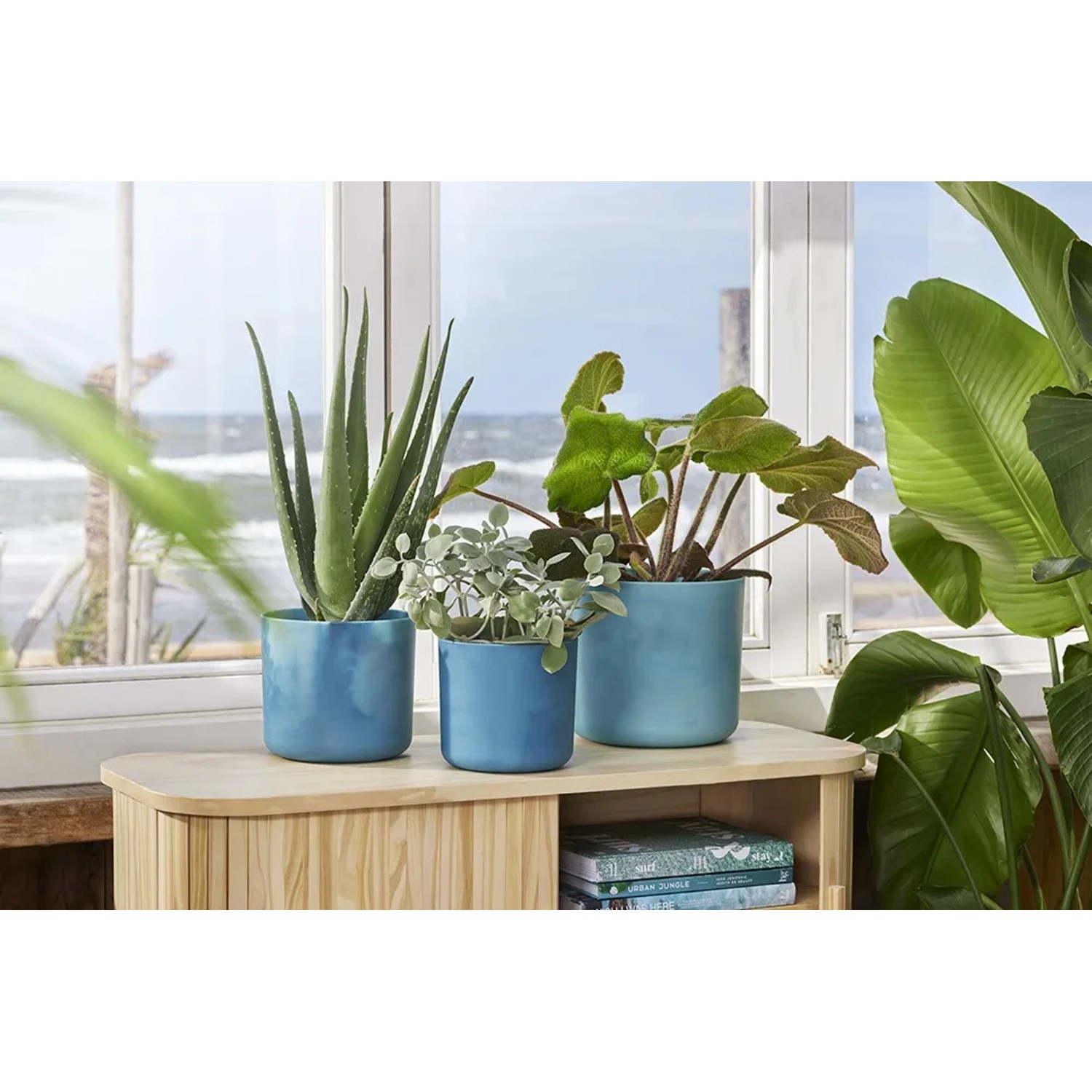 Drei blaue Elho Blumentöpfe Ocean Collection (Ø 16 cm) auf einem Holzschrank vor einem Fenster.