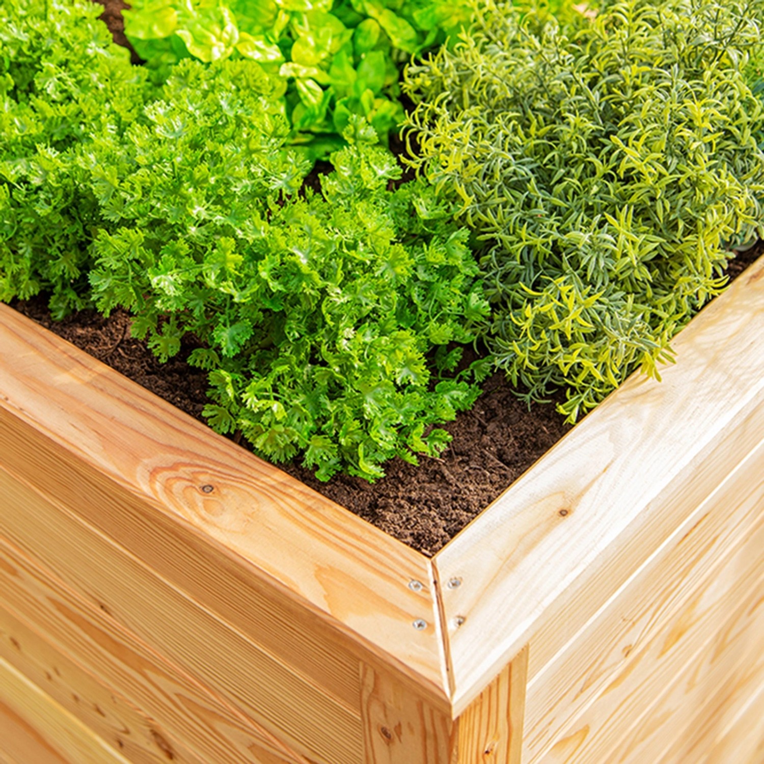 Westmann Hochbeet aus Lärche mit Bepflanzung, Detailansicht der Holzstruktur und Pflanzen.