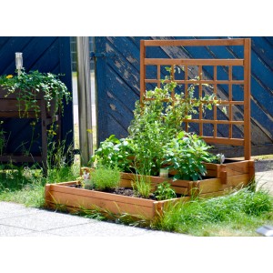 Dobar 3-Etagen-Hochbeet Peru mit Rankgitter, bepflanzt mit Kräutern und Gemüse.