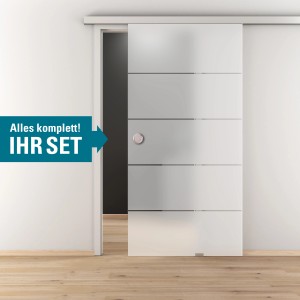 Glasschiebetür-Set Nova 503 Edelstahloptik mit Softeinzug und Griffmuschel