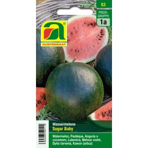 Saatgut Wassermelone Sugar Baby mit dunkelgrüner Schale und rotem Fruchtfleisch.