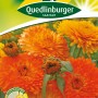 Quedlinburger Ringelblumen 'Pazifik Schönheit Mischung' in Gelb- und Orangetönen, Höhe ca. 60cm.