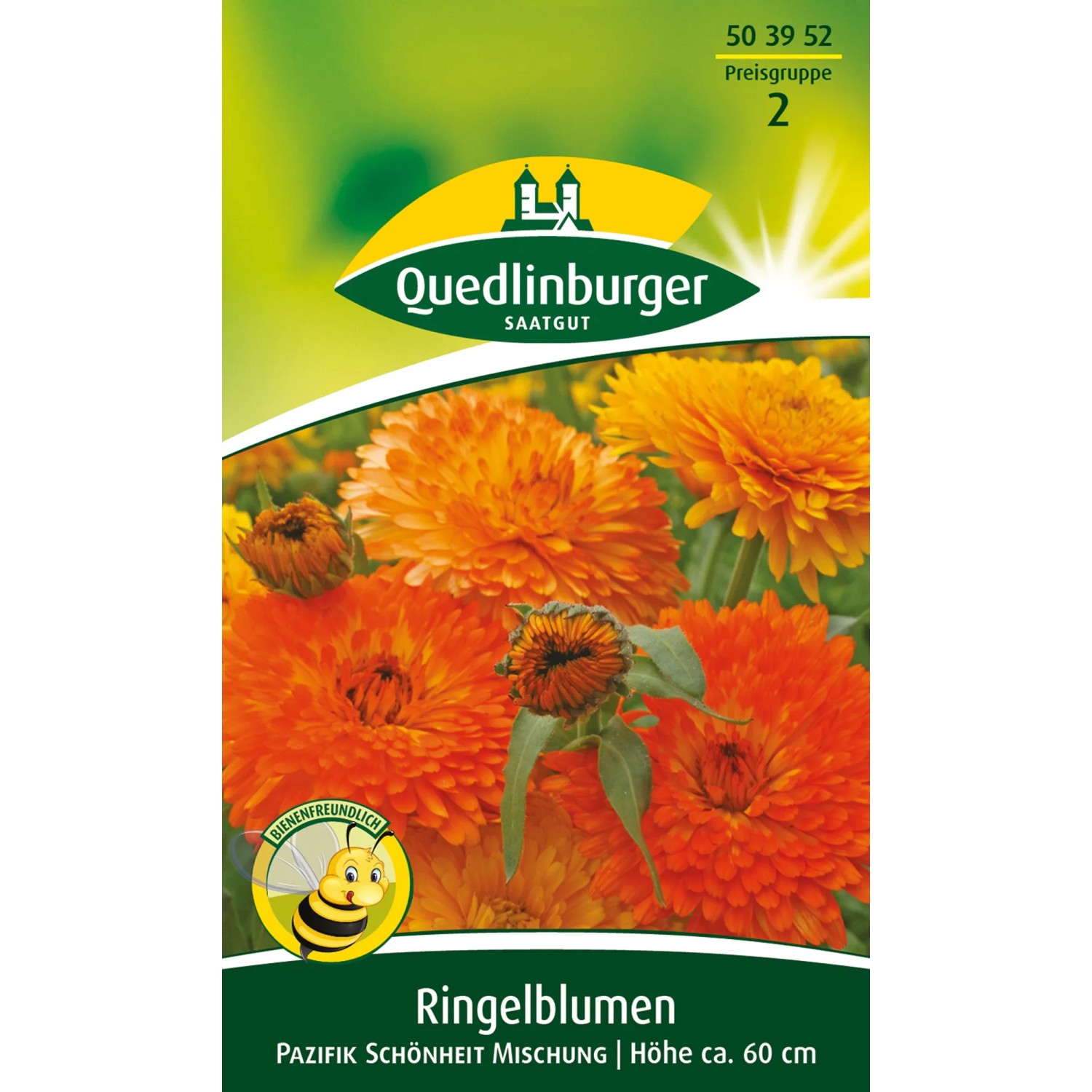 Quedlinburger Ringelblumen 'Pazifik Schönheit Mischung' in Gelb- und Orangetönen, Höhe ca. 60cm.