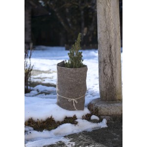 Graue Windhager Schafwoll-Filzmatte (50x200cm) um einen kleinen Baum gewickelt als Winterschutz.