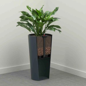 Siena Garden Pflanzsäule Locon Graphit, Ø 30cm, mit Pflanze und Bewässerungssystem.