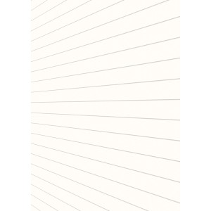 Glänzendes, weißes Dekor-Paneel für Wand und Decke von Kronoflooring.