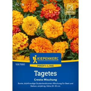 Kiepenkerl Tagetes Cresto Mischung: Studentenblumen in Gelb- und Orangetönen, ideal für Beet und Balkon.