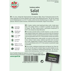 Samenpackung Sperli Salat Dynamite, ein Butterkopfsalat. Resistent gegen Blattläuse und Mehltau.